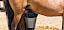 Ein Stute wird gemolken - © stock.adobe.com / driendl / 118811697