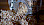 Dinkelkörner ausgeschüttet aus einem Glas - © CC0 - Pixabay - gaetano28