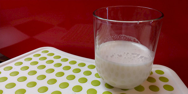 Haselnussmilch selber machen - © milch.info