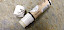 Dionis Lippenpflegestift mit Ziegenmilch im Test - © Milch.info