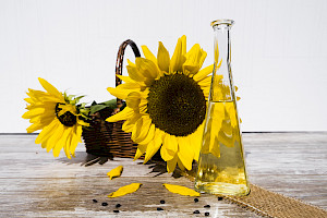 Sonnenblumen und Sonnenblumenöl