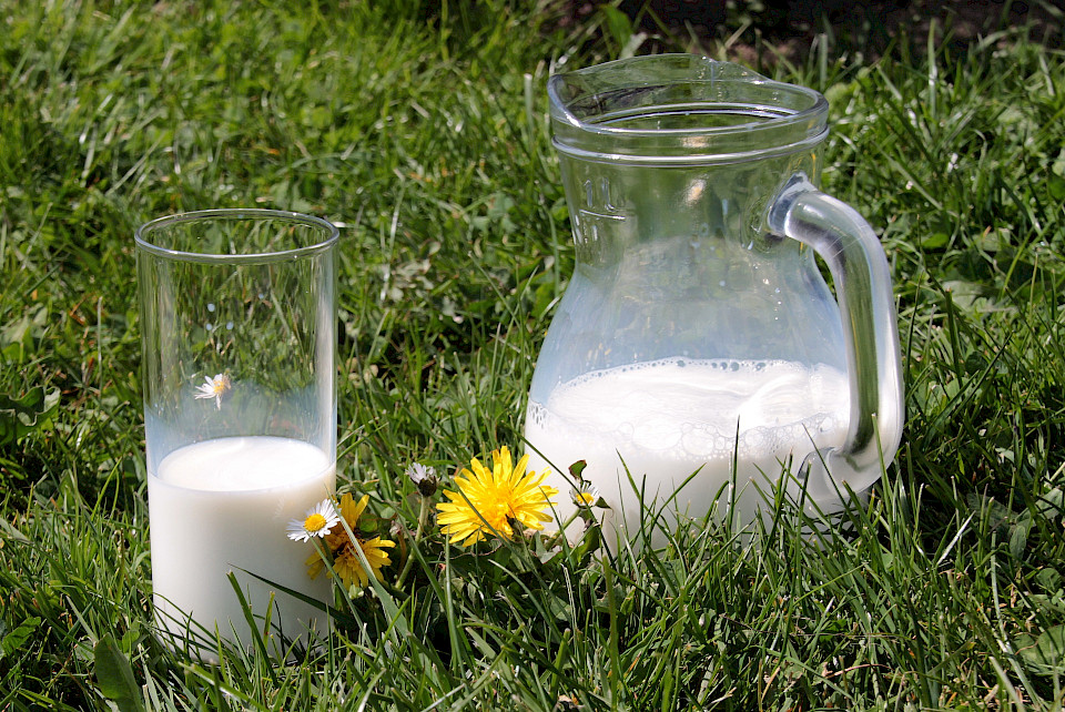 Welche Vitamine Hat Milch Stutenmilch - Wissenswertes über die Milch weiblicher Pferde