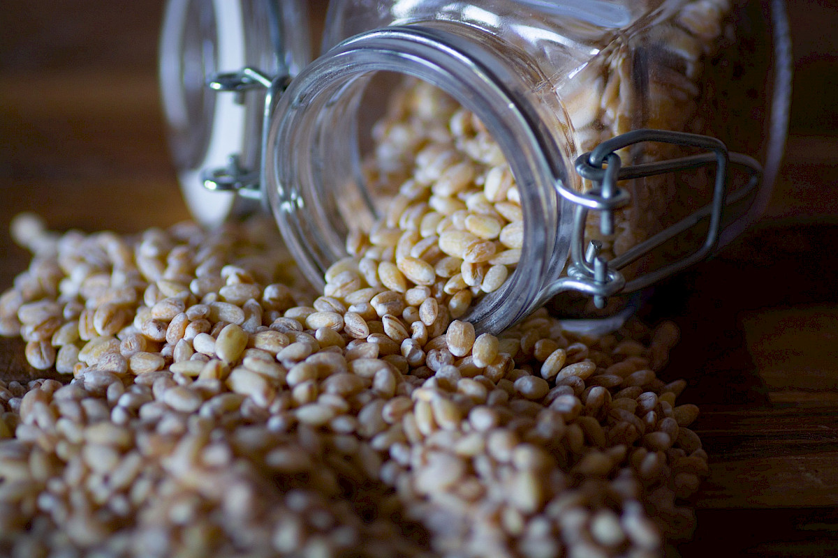 Dinkelmilch - Alles über die vegane Milchalternative aus Dinkel